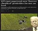 337 KB