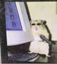 169 KB