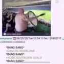19 KB