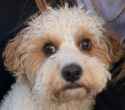 398 KB