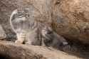 718 KB