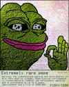 278 KB