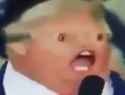177 KB