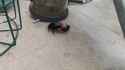3.83 MB