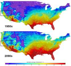 1.38 MB