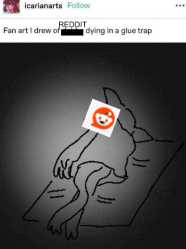 303 KB