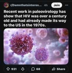 194 KB