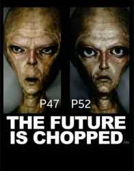 338 KB
