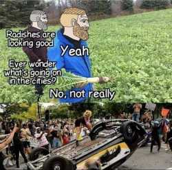 127 KB