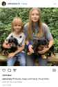 457 KB