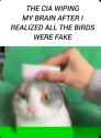 447 KB