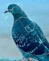 27 KB