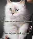 66 KB
