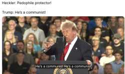 273 KB