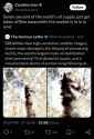 202 KB