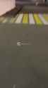 1.17 MB