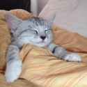 25 KB