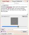 17 KB
