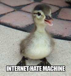 288 KB