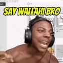 3.3 MB