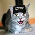 28 KB