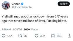 251 KB