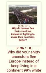 151 KB