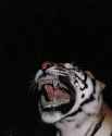 146 KB