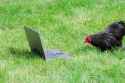 117 KB