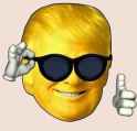 137 KB