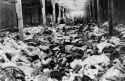 260 KB