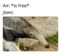 262 KB