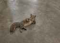 122 KB