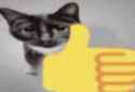 21 KB