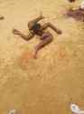 118 KB