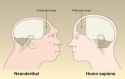 14 KB