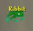 6 KB