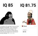 441 KB