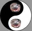 190 KB