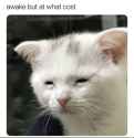 132 KB