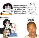 460 KB