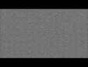 1.6 MB