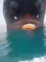 1 MB
