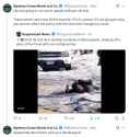 243 KB