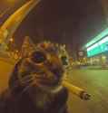88 KB