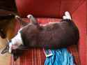 2.44 MB