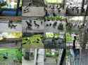 1.61 MB