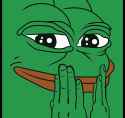 231 KB