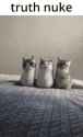 3.13 MB