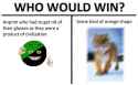28 KB